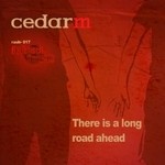 cover: Cedar M - There Is A Long Road Ahead