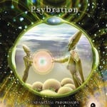 cover: Various - Psybration - Fundamental Progression