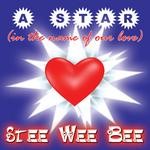 cover: Stee Wee Bee - A Star (In The Name Of Our Love)