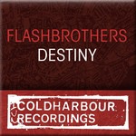 cover: Flash Brothers - Destiny