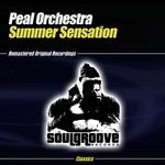 cover: Peal Orchestra - Summer Sensation