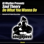 cover: Dj Rhythm|Soul Theory - Do What You Wanna Do