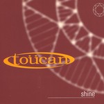 cover: Toucan - Shine