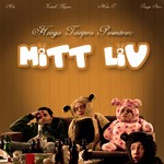 cover: Hooga Troopers - Mitt Liv (single)