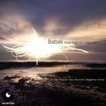 cover: Babak - Music Heals The Soul