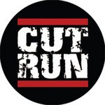 cover: Cut & Run - It's Like That