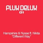 cover: Hampshire|Nikita|Nysse - Different Way