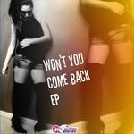 cover: Faraz - Won't You Come Back EP