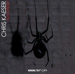 cover: Chris Kaeser - Black Widow