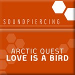 cover: Arctic Quest - Love Is A Bird