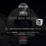 cover: Aneurysm, Brian|Christian Quast|Echopilot|Maetrik - Digital 2 Vinyl