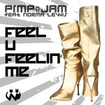 cover: Norma Lewis & Pimp|Pimp & Jam - Feel U Feelin' Me