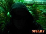 cover: Stormy - Greenmint