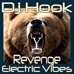 cover: Dj Hook - Revenge