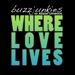 cover: Buzz Junkies|Alison Limerick - Where Love Lives