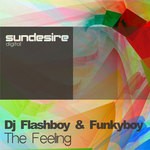 cover: Dj Flashboy|Funkyboy - The Feeling