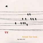 cover: Ty - Break The Lock