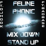 cover: Dj Hook|Feline Phonic - Mix Down