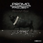 cover: Armageddon Project|Promo - Diamonds For The Pigs