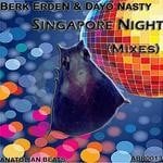 cover: Dayo Nasty|Erden, Berk - Singapore Night