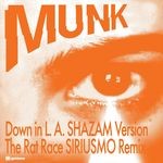 cover: Munk - Down In LA