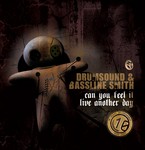 cover: Drumsound & Bassline Smith - Can You Feel It