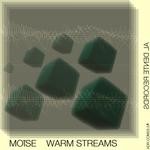 cover: Moise - Warm Streams