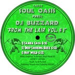 cover: Soul Oasis|Dj Buzzard - From The Lair Vol #1