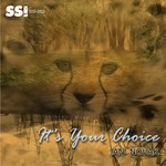 cover: Ian Novak - It's Your Choice