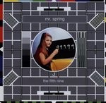 cover: Mr Spring - The 5th Nine Singles (2000)