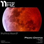 cover: Pedro Campos - Rhythmic Moon