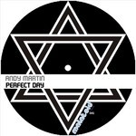 cover: Andy Martin - Perfect Day