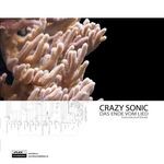 cover: Crazy Sonic - Das Ende Vom Lied