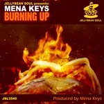 cover: Mena Keys - Burning Up