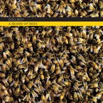 cover: Dollboy - A Beard Of Bees