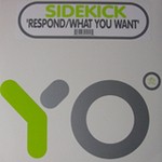 cover: Sidekick - What You Want