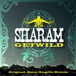 cover: Sharam - Get Wild