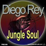 cover: Diego Rey - Jungle Soul