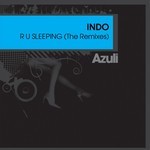 cover: Indo - R U Sleeping (remixes)