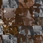 cover: Ame - Fiori