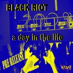 cover: Black Riot - A Day In The Life (2009 mixes WMC pre-release)