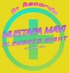 cover: Dj Mustafa Mavi - Flemenco Night