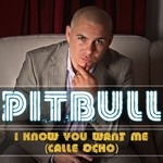 cover: Pitbull - I Know You Want Me (Calle Ocho)