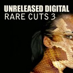 cover: Various - Rare Cuts 3