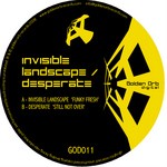 cover: Invisible Landscape|Desperate - GOD 011