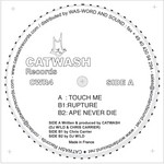 cover: Catwash|Chris Carrier|Dj W!ld - Touch Me