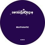 cover: Beatfanatic - Fly Away