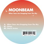 cover: Moonbeam - When Tears Are Dropping From The Sky