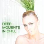 cover: Various - Deep Moments In Chill