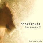 cover: Kadribasic - Into Insanity